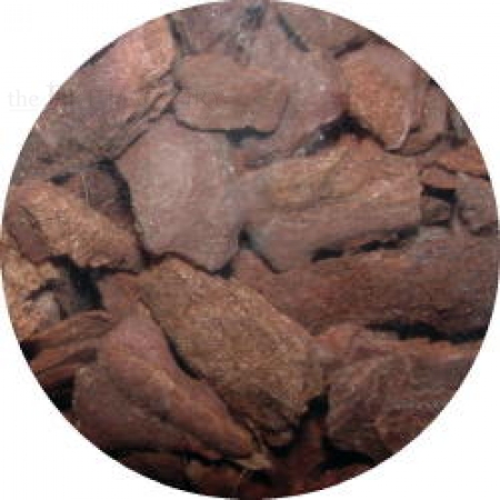 Pinienborke grob