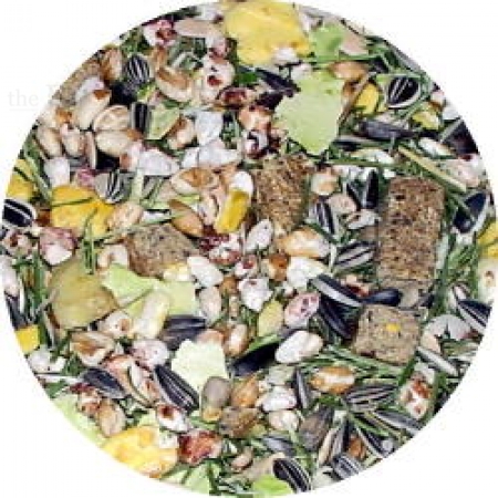 Outdoor Fit  12,5 kg