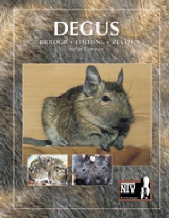 Degus