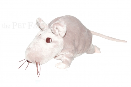 Rattus pl�schicus
