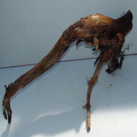 Moorkienholz klein