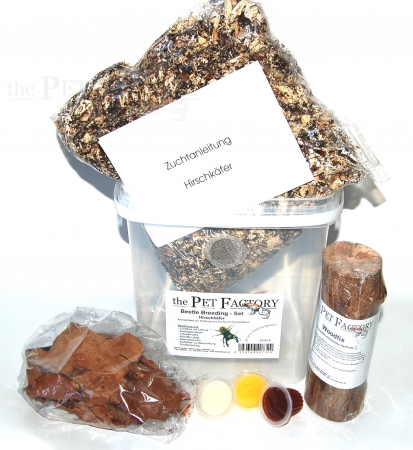 Beetle Breeding Set - Hirschk�fer