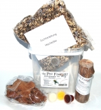 Beetle Breeding Set - Hirschk�fer