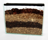 Larvarium - H�ngeversion